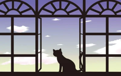 シュレディンガーの猫